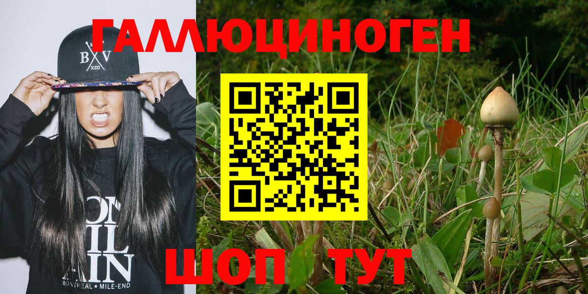 Псилоцибиновые грибы Cubensis  Вход с VPN  Москва 