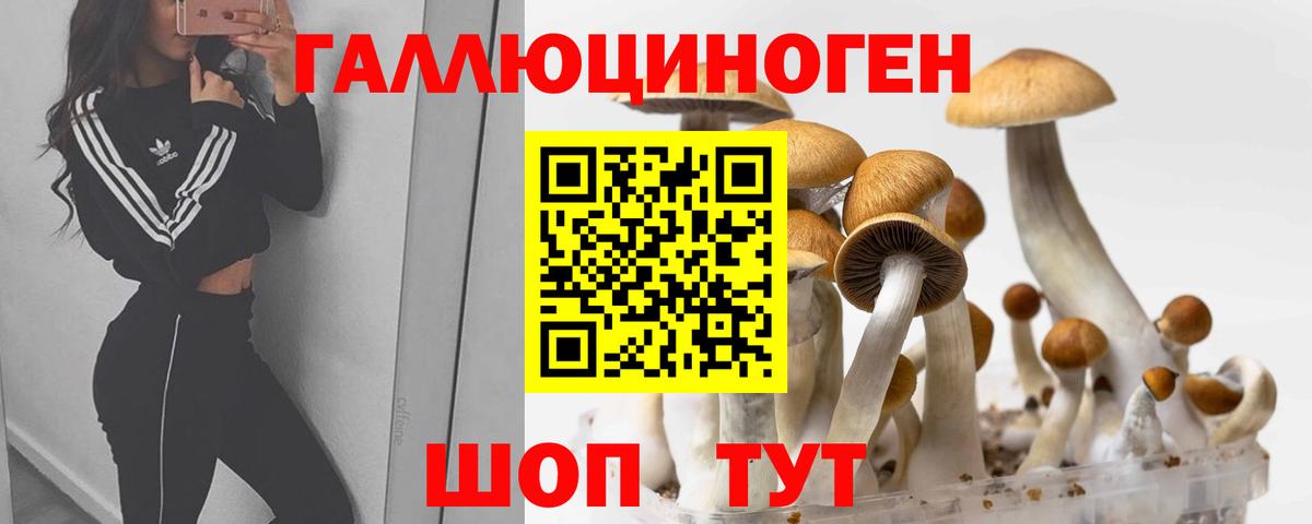 Псилоцибиновые грибы мухоморы Москва